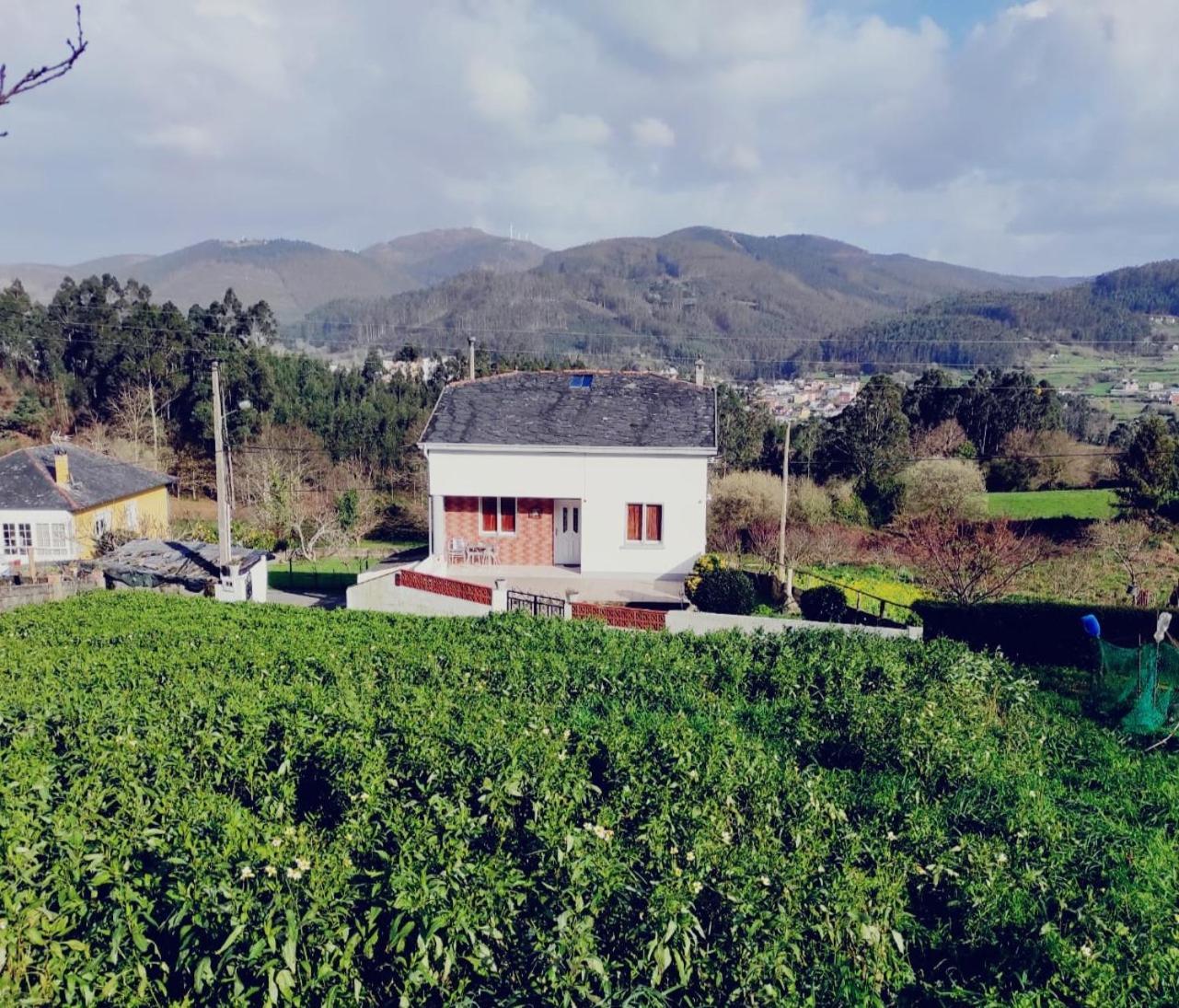 Casa Familiar Con Finca Privada Viveiro Ngoại thất bức ảnh